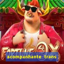 acompanhante trans em santos